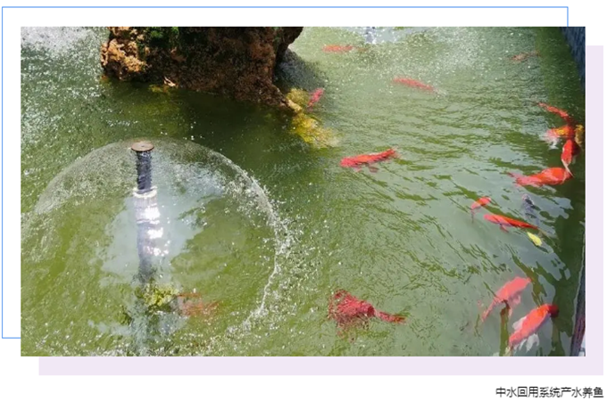 1644802767217675.png 1612490377317465.png